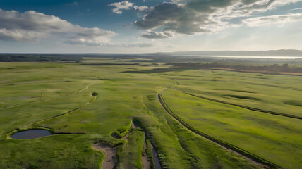 Obraz premium wide open grassland