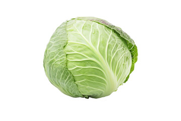 Obraz premium Napa cabbage with fresh green leaves isolated on transparent background