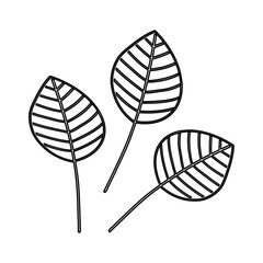 Delicate line drawing of three leaf shapes with intricate vein patterns on a minimalist background