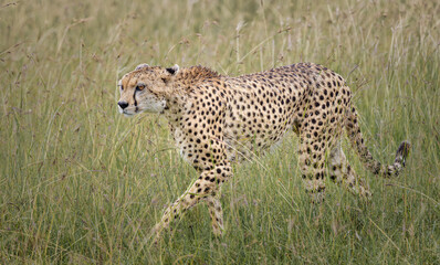 Real Africa life
