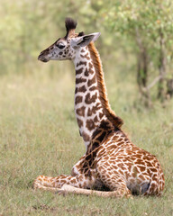 Real Africa life
