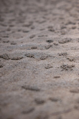 Natural background. White sand beach texture