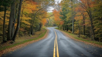 Fototapeta premium A winding paved road through a forest with vibrant fall foliage.