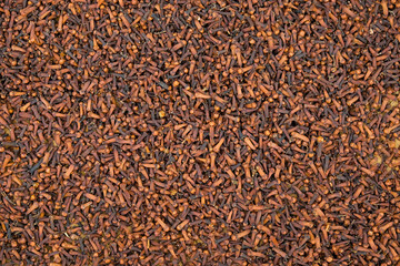 Pattern, texture and abstract shape of brown clove seeds.Sun-dried clove seeds. clove plantations in rural areas