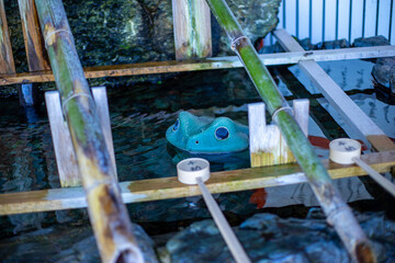 Fototapete bei efototapeten.de bestellen   