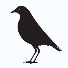 Bird Silhouette icon