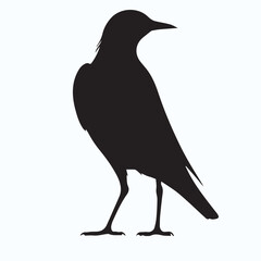 Bird Silhouette icon