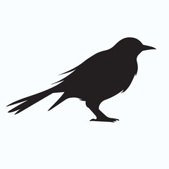 Bird Silhouette icon