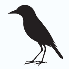 Obraz premium Bird Silhouette icon