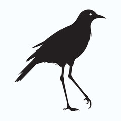 Bird Silhouette icon