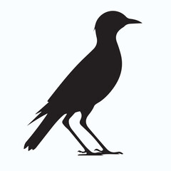 Bird Silhouette icon
