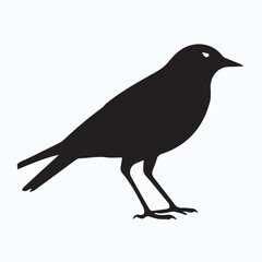 Bird Silhouette icon