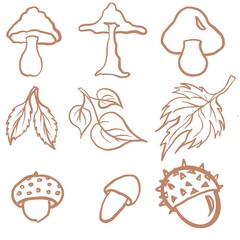 autumn, leaf fall, different types of mushrooms, leaves, chestnut set, food, icon, illustration, summer, collection, beach, cartoon, symbol, design, autumn, tree, leaf, sweet, chocolate, pattern