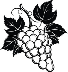 Bunch of Hand drawn grape vine drawing illustration. Vintage hand drawn grape branches illustration design. © Sayed GraphicsBD