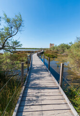 Obraz premium Paysage de Camargue, avec au loin, la tour Carbonnière, ancien péage, Aigues-Mortes, Gard, France 