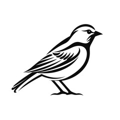 Fototapeta premium bird vector graphic, eagle, hawk, duck, seagull, owl, crow, raven, birdie, sparrow, black and white, colourful graphic