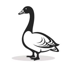 bird vector graphic, eagle, hawk, duck, seagull, owl, crow, raven, birdie, sparrow, black and white, colourful graphic