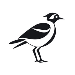 bird vector graphic, black and white, silhouette, colourful