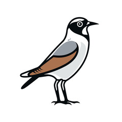 bird vector graphic, black and white, silhouette, colourful