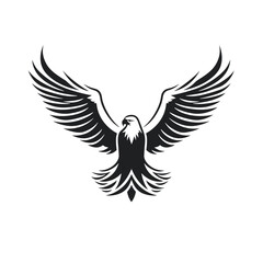 bird vector graphic, eagle, hawk, duck, seagull, owl, crow, raven, birdie, sparrow, black and white, colourful graphic