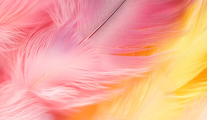 Obraz premium A soft pastel background featuring an array of colorful feathers