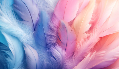 Obraz premium A soft pastel background featuring an array of colorful feathers