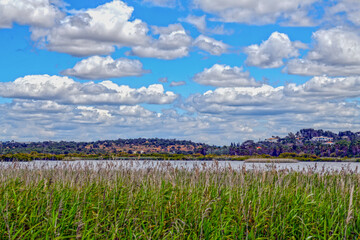 Fototapeta premium Lagoa dos Salgados in Guia-Albufeira/Algarve (Portugal) 