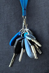 A bunch of keys hanging on a neck strap. Easy access and convenient key holder for everyday carry.