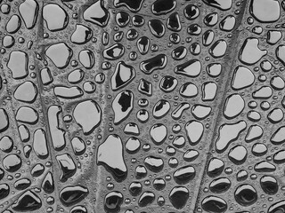 Water droplets on a waterproof synthetic textile. Water drops on impregnated fabric. Water drops abstract background