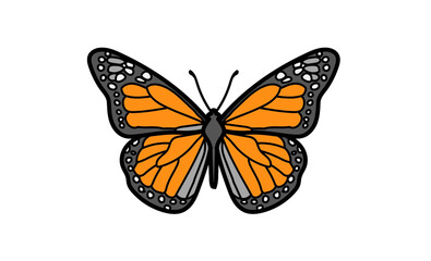 Fototapeta premium butterfly isolated on white background