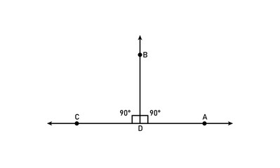 The segment AC is perpendicular to the segment BD in geometry.