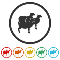 Sheep icon. Set icons in color circle buttons