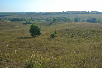 Obraz premium Dawn in the steppe, minimalistic landscape.