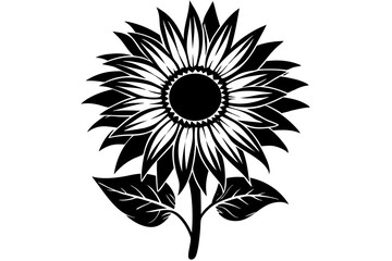 Sunflower vector art silhouette illustration