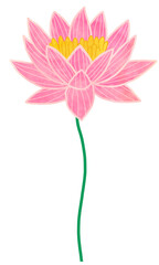 Obraz premium pink flower