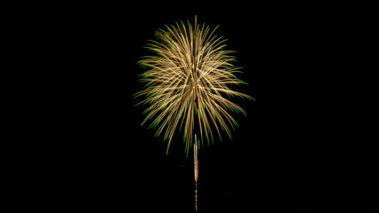Beautiful large green and white fireworks exploding against a black night sky background with copy...