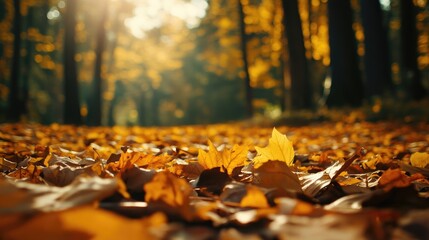 Golden autumn leaves on a forest floor, seasonal transition and nature beauty, peaceful walk in the woods