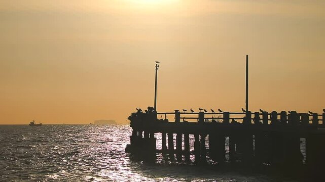 Paracas is a city on the west coast of Peru. It is known for its beaches,