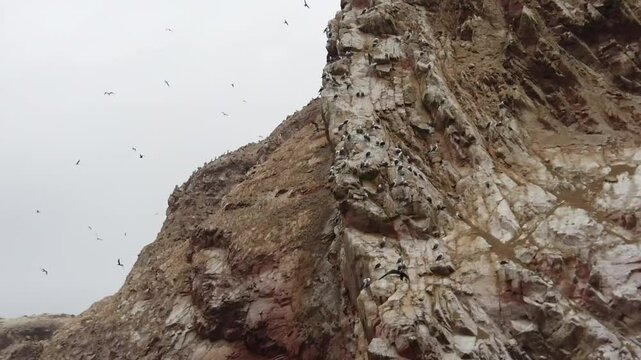 Paracas is a city on the west coast of Peru. It is known for its beaches,