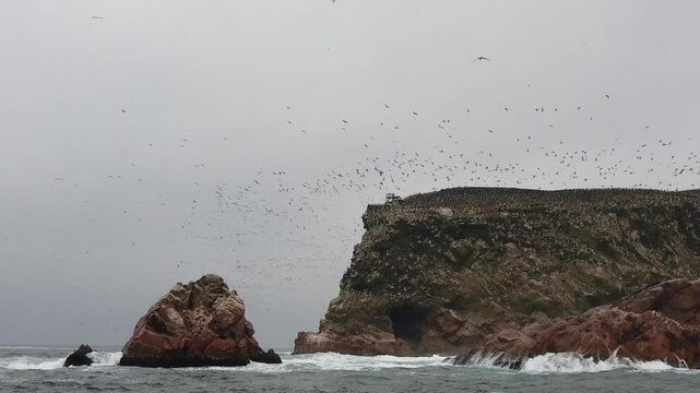 Paracas is a city on the west coast of Peru. It is known for its beaches,