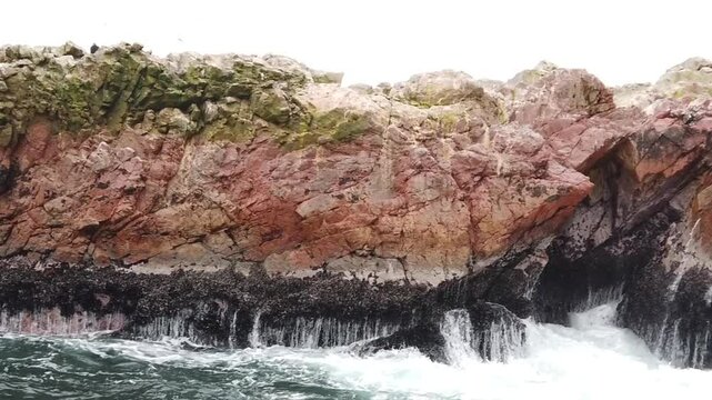 Paracas is a city on the west coast of Peru. It is known for its beaches,