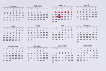 Hand draws red drops on the calendar, then places a red checkmark in a circle - concept of menstrual cycle tracking, ovulation, and pregnancy planning