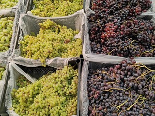 A bunch of grapes are in a white plastic bag