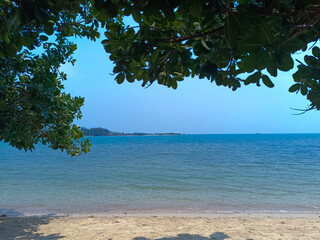 Green leaves with wonderful view of tropical beach