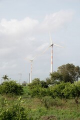 Sustainable Energy: Wind Turbines Towering Above Green Landscape