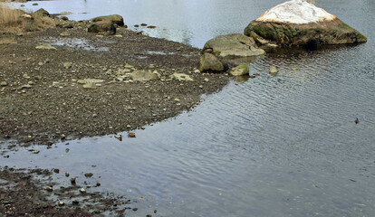Ducks on the rocks