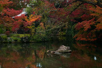 Autumn at the Temple