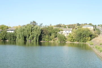 A body of water with trees and houses along it