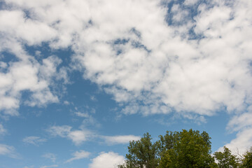 clouds and tree on a blue sky