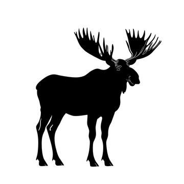 recommend clip art: Black silhouette of a moose with large antlers.